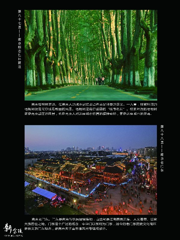 87标志性林荫道 88老门东