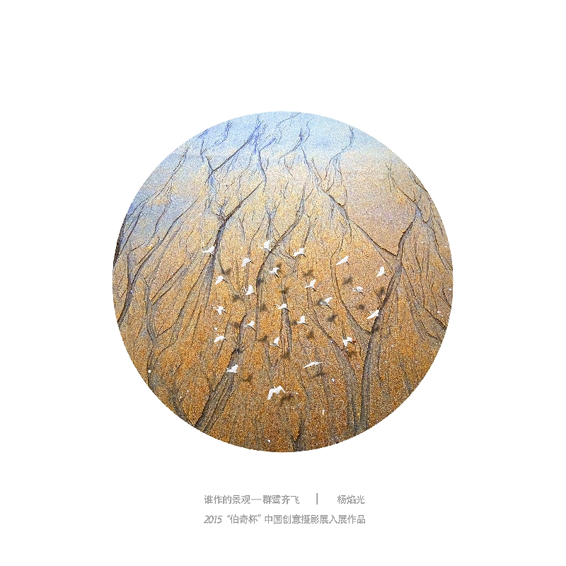 069-谁做的景观2-2015“伯奇杯”中国创意摄影展入展作品-作者：杨焰光
