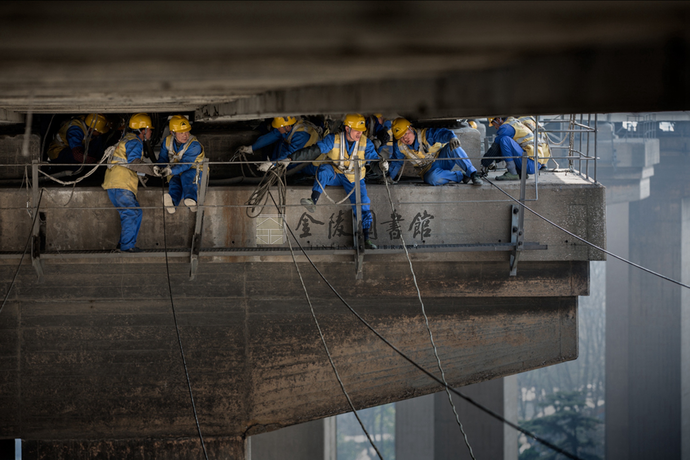 2017年3月6日，玉兰路灯拆除。薛晓红摄