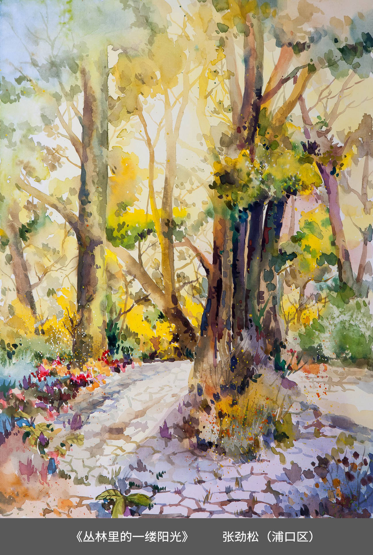 06.浦口区-张劲松-《丛林里的一缕阳光》.jpg