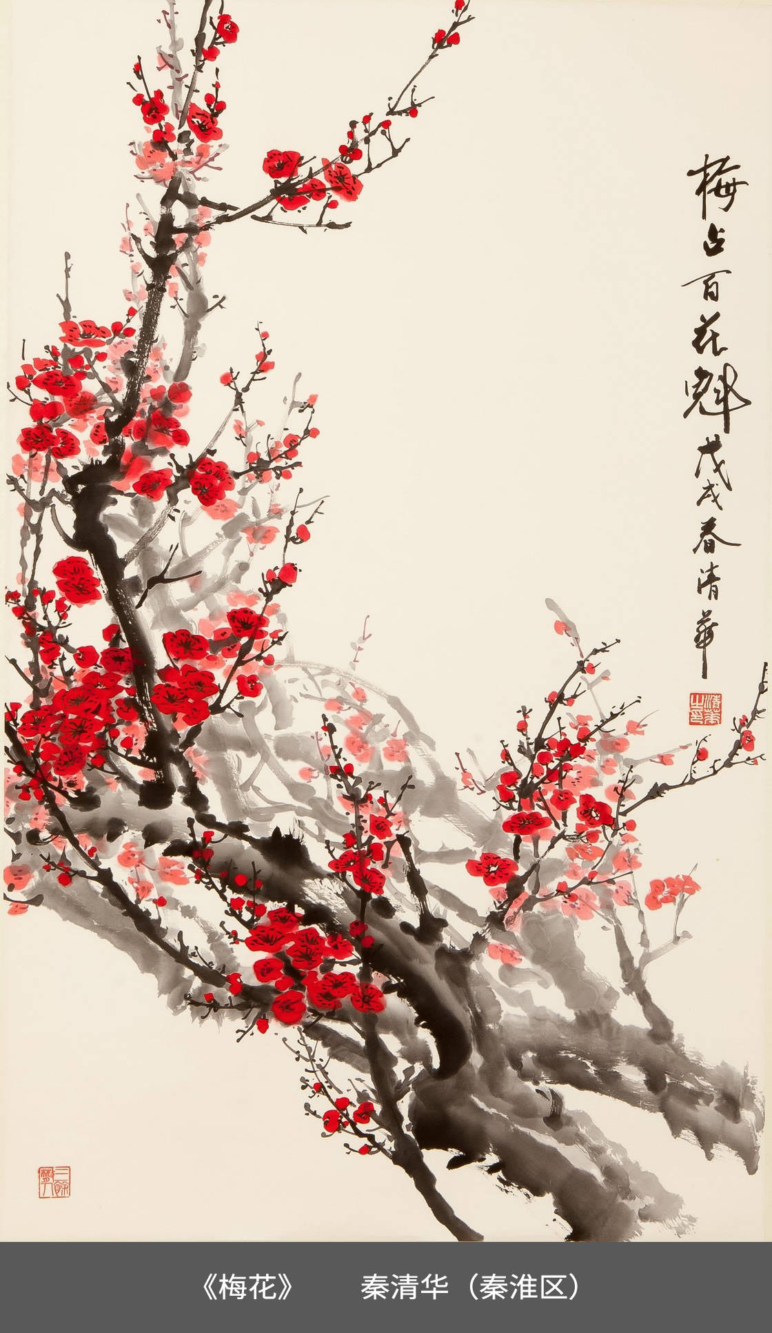 14.秦淮区-秦清华-国画《梅花》.jpg