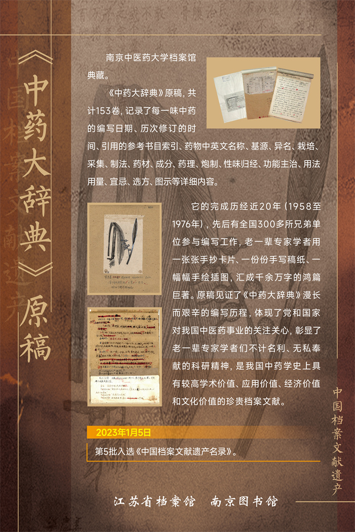 11中国档案—《中药大辞典》原稿.jpg
