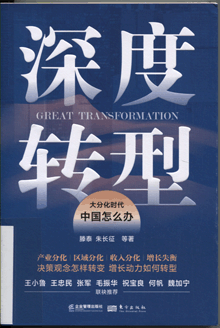 深度转型:大分化时代中国怎么办