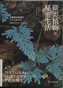 蕨类植物的秘密生活