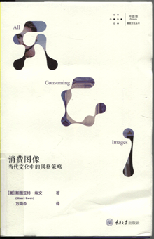 消费图像:当代文化中的风格策略