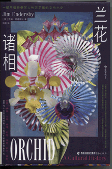 兰花诸相