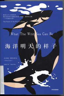 海洋明天的样子